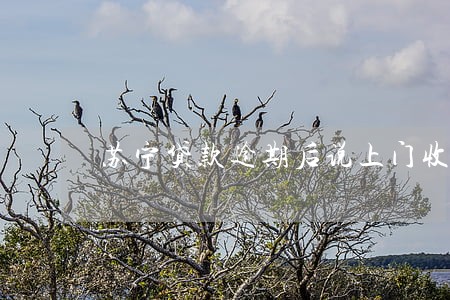 苏宁贷款逾期后说上门收款 苏宁贷款逾期后说上门收款