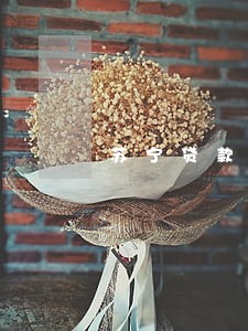 苏宁贷款逾期多久上征信 苏宁贷款逾期多久上征信