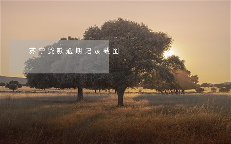 苏宁贷款逾期记录截图 苏宁贷款逾期记录截图