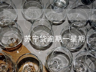 苏宁贷逾期一星期 苏宁贷逾期一星期