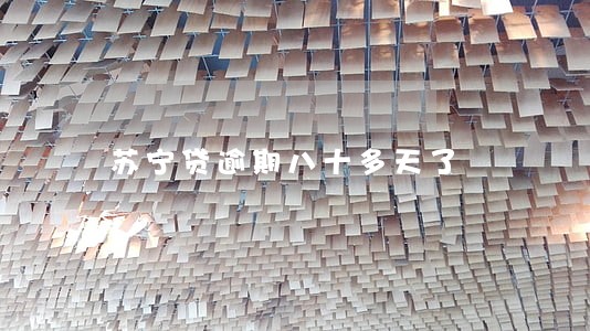 苏宁贷逾期八十多天了 苏宁贷逾期八十多天了