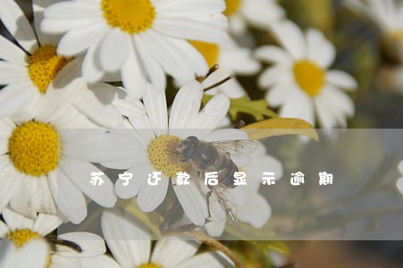 苏宁还款后显示逾期 苏宁还款后显示逾期
