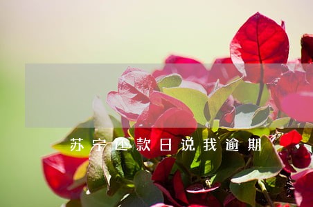 苏宁还款日说我逾期 苏宁还款日说我逾期