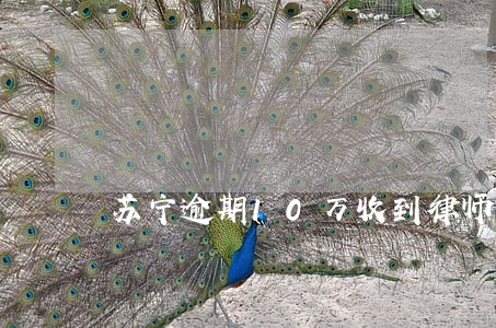 苏宁逾期10万收到律师函 苏宁逾期10万收到律师函