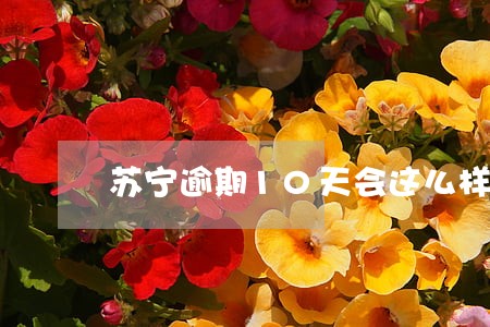苏宁逾期10天会这么样 苏宁逾期10天会这么样