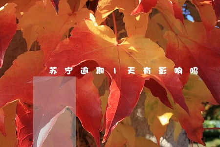 苏宁逾期1天有影响吗 苏宁逾期1天有影响吗
