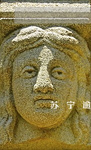 苏宁逾期2天上征信吗 苏宁逾期2天上征信吗