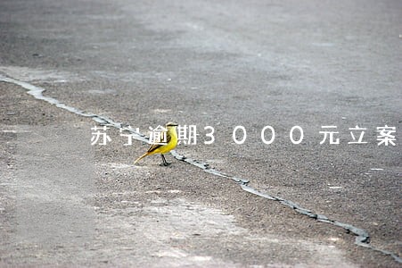 苏宁逾期3000元立案吗 苏宁逾期3000元立案吗