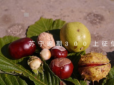 苏宁逾期300上征信 苏宁逾期300上征信