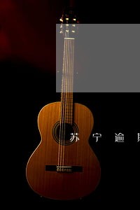 苏宁逾期4年 苏宁逾期4年