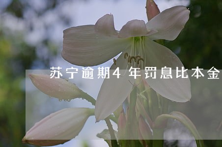 苏宁逾期4年罚息比本金高合法吗 苏宁逾期4年罚息比本金高合法吗