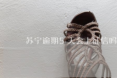 苏宁逾期5天会上征信吗 苏宁逾期5天会上征信吗