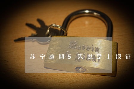 苏宁逾期5天说是上报征信 苏宁逾期5天说是上报征信
