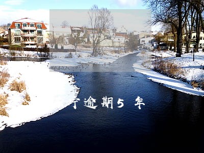 苏宁逾期5年