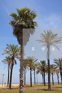 苏宁逾期7天会怎么样 苏宁逾期7天会怎么样