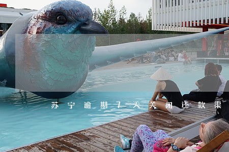苏宁逾期7天关闭还款渠道吗