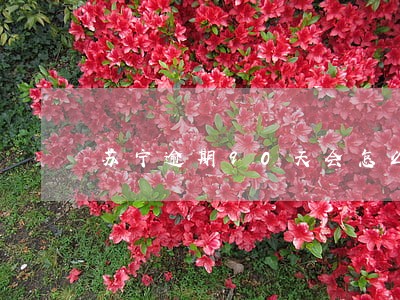 苏宁逾期90天会怎么样 苏宁逾期90天会怎么样