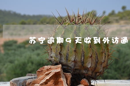 苏宁逾期9天收到外访通知 苏宁逾期9天收到外访通知