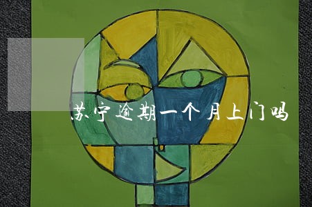 苏宁逾期一个月上门吗 苏宁逾期一个月上门吗