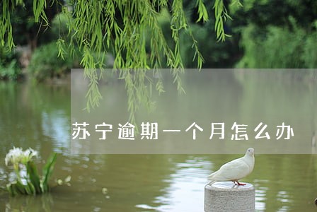 苏宁逾期一个月怎么办