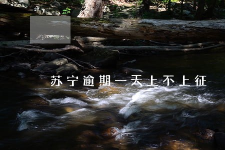 苏宁逾期一天上不上征