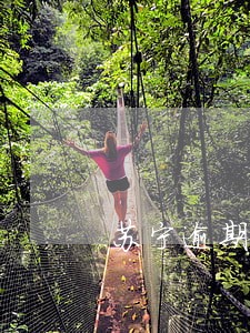 苏宁逾期一天上征信了