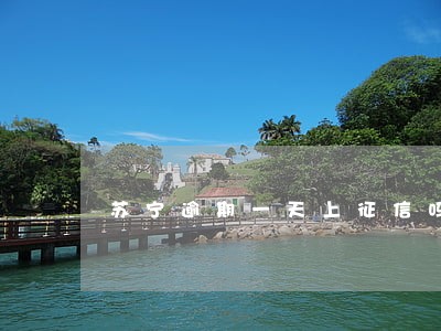 苏宁逾期一天上征信吗 苏宁逾期一天上征信吗