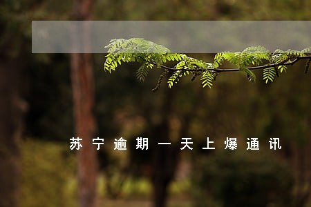 苏宁逾期一天上爆通讯 苏宁逾期一天上爆通讯