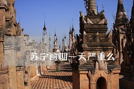 苏宁逾期一天严重么 苏宁逾期一天严重么