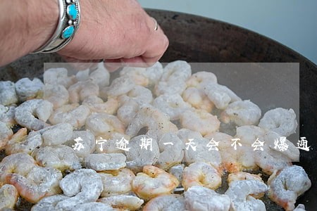 苏宁逾期一天会不会爆通许记录 苏宁逾期一天会不会爆通许记录