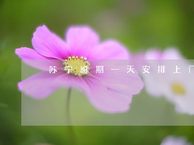 苏宁逾期一天安排上门 苏宁逾期一天安排上门