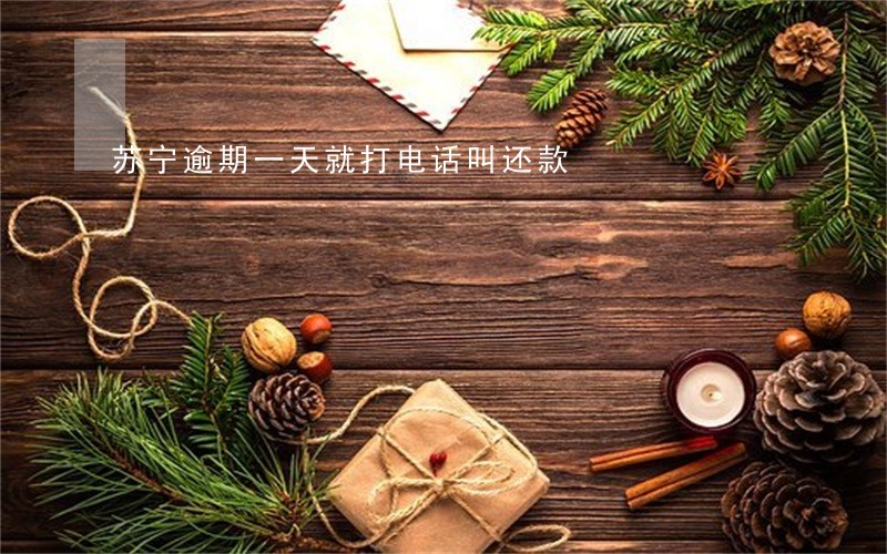 苏宁逾期一天就打电话叫还款