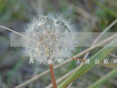 苏宁逾期一天就说联系亲友 苏宁逾期一天就说联系亲友