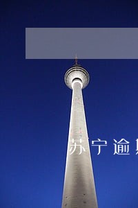 苏宁逾期一天怎么补救 苏宁逾期一天怎么补救