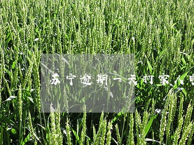苏宁逾期一天打家人电话 苏宁逾期一天打家人电话