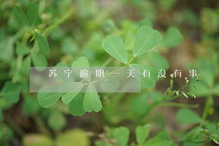 苏宁逾期一天有没有事 苏宁逾期一天有没有事