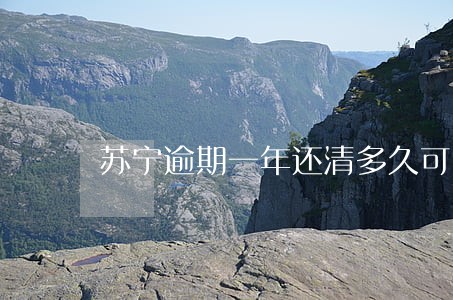 苏宁逾期一年还清多久可以使用 苏宁逾期一年还清多久可以使用