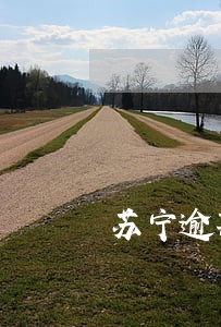 苏宁逾期三个月 苏宁逾期三个月