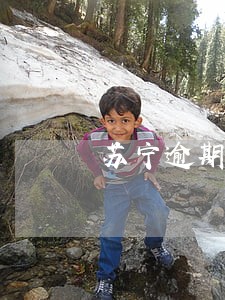 苏宁逾期三个月了 苏宁逾期三个月了
