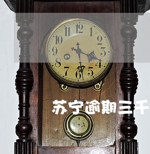苏宁逾期三千会被立案吗 苏宁逾期三千会被立案吗
