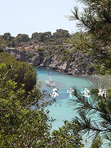 苏宁逾期三年四千多 苏宁逾期三年四千多