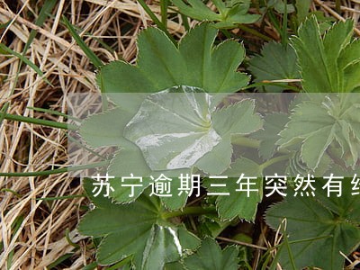苏宁逾期三年突然有给我电话 苏宁逾期三年突然有给我电话