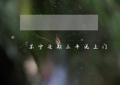 苏宁逾期三年说上门 苏宁逾期三年说上门