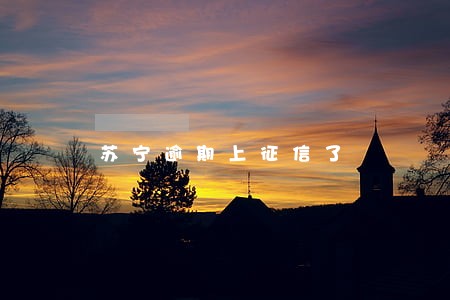 苏宁逾期上征信了 苏宁逾期上征信了