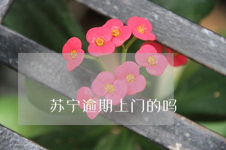 苏宁逾期上门的吗 苏宁逾期上门的吗