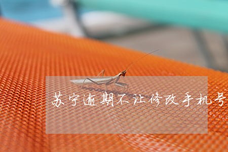 苏宁逾期不让修改手机号 苏宁逾期不让修改手机号