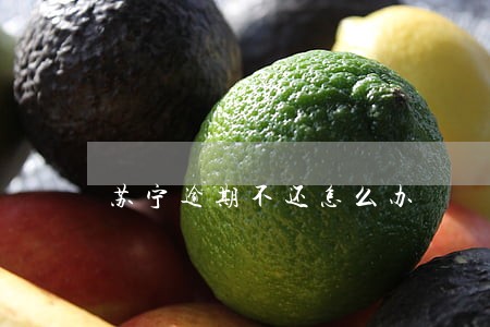 苏宁逾期不还怎么办 苏宁逾期不还怎么办