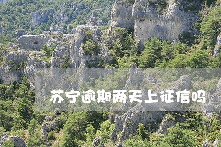 苏宁逾期两天上征信吗 苏宁逾期两天上征信吗