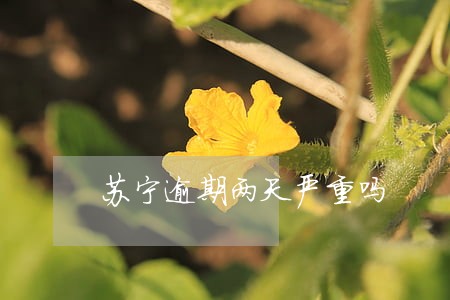 苏宁逾期两天严重吗 苏宁逾期两天严重吗