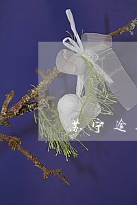 苏宁逾期两次 苏宁逾期两次